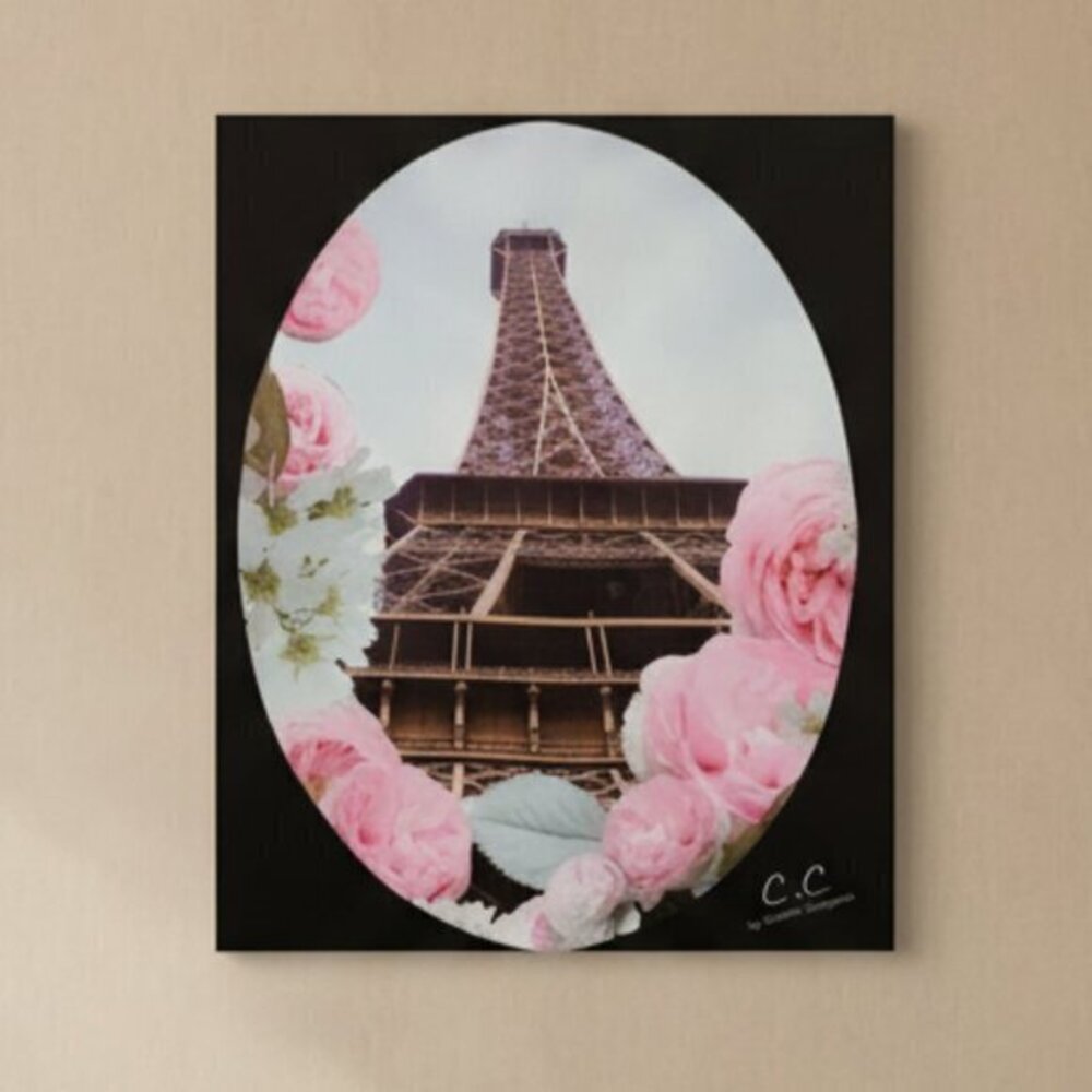 Decorative Canvas Wall Art Eiffel Tower Floral Home Bedroom Parisian Accent